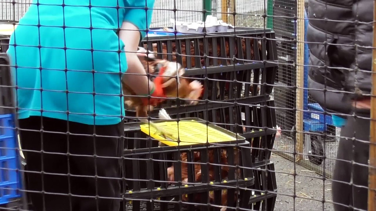 Kent Tonight - Friday 7th March 2025