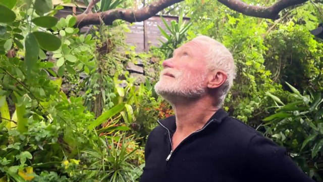 Cyclone Alfred projected to cross the Queensland coast on Saturday