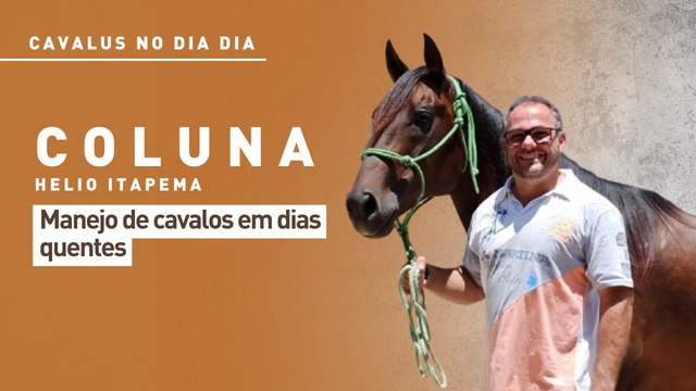 Cavalus no Dia Dia: manejo de cavalos em dias quentes