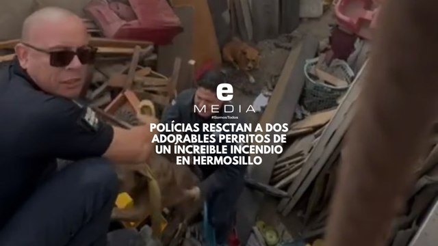 Polícias resctan a dos adorables perritos de un íncreible incendio en Hermosillo