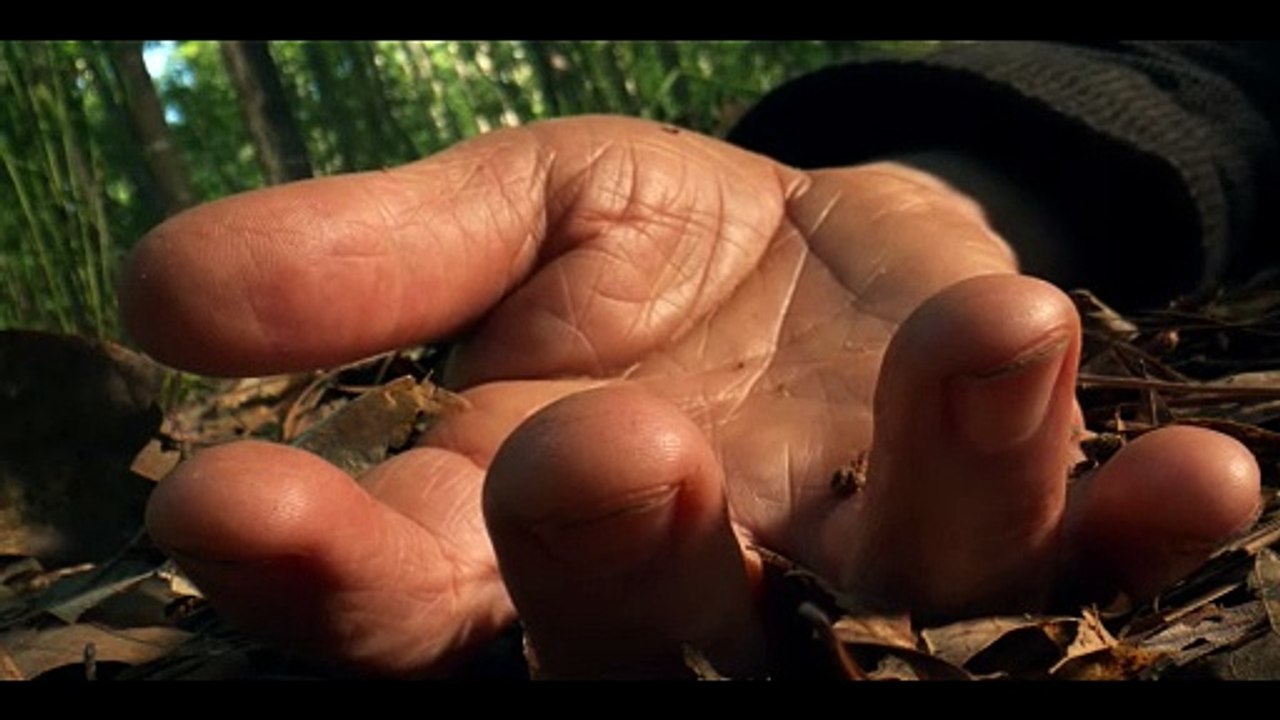 Solomon Kane | movie | 2009 | Official Trailer