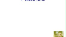 Potencia(Portal Kiara)