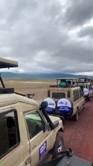 Amazing African wildlife #animallife #travel