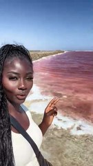 Amazing African wildlife #animallife #travel