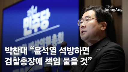 민주당 "교묘한 기술로 尹석방"…심우정 검찰총장 탄핵 논의