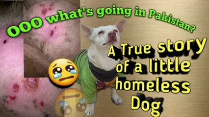 Ooooo what's going in Pakistan_ A True Story