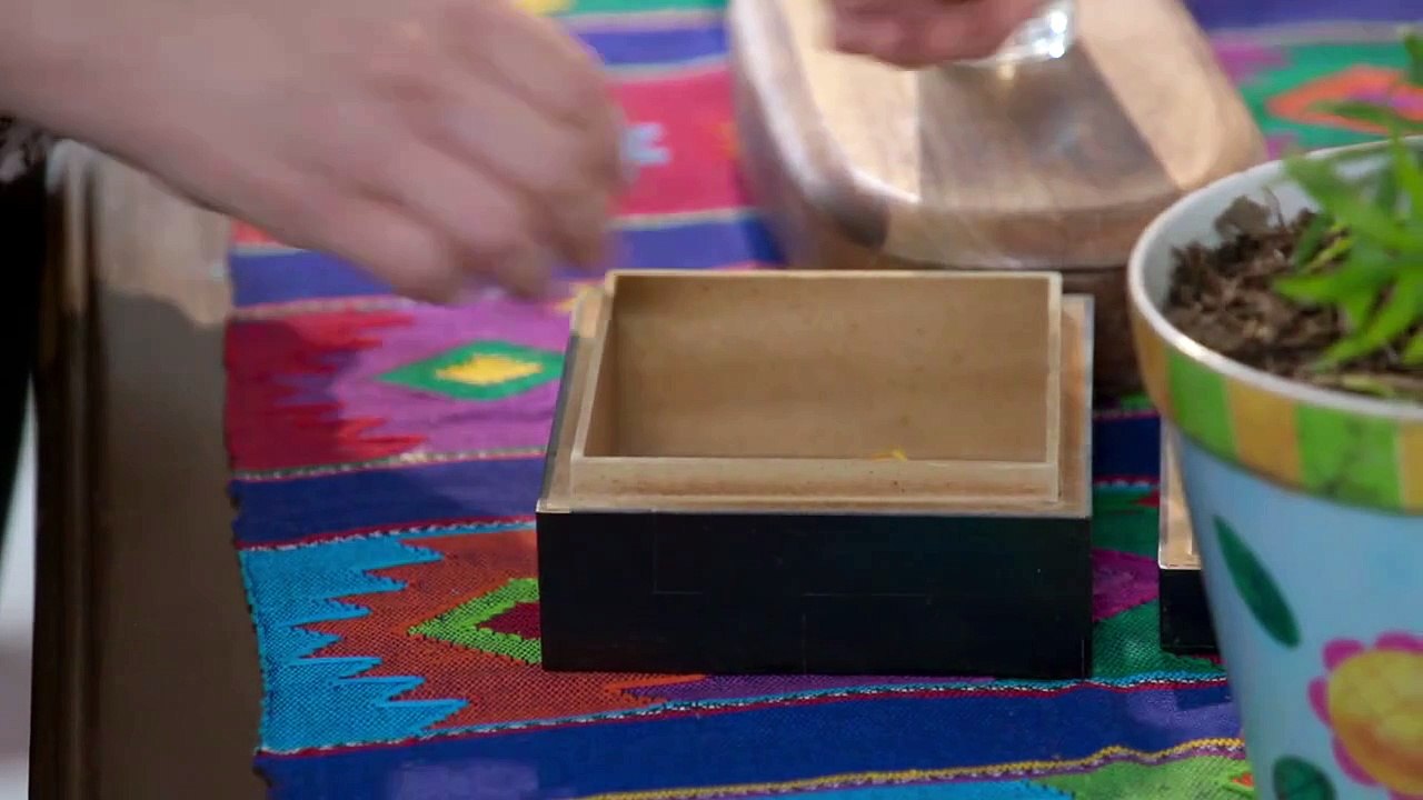 La Rosa De Guadalupe Cap Completo "Corazón de león"