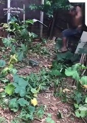 Your Smile Dose Part 1