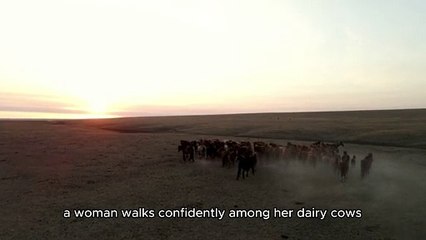 "Amidst the green pastures and the distinctive aroma of the farm