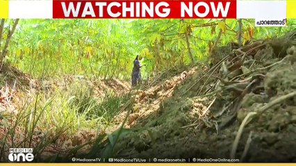 2018 ലെ മഹാപ്രളയത്തിലെ മണ്ണിനടിയിൽ പുതഞ്ഞുപോയ മെഴ്സിയെന്ന വീട്ടമ്മയുടെ അതിജീവനത്തിന്റെ കഥ