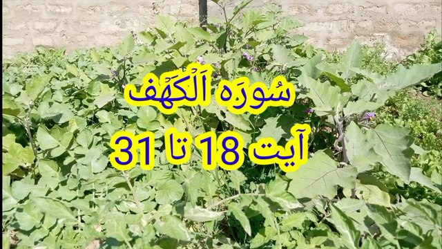 Surah Al kahf || Suratul kahf ki tilawat || beautiful voice || Best recitation ||