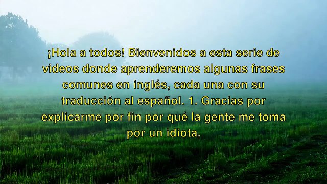 Frases Comunes en Ingles: Desde 'Gracias por tu explicacion' hasta 'Te quiero'