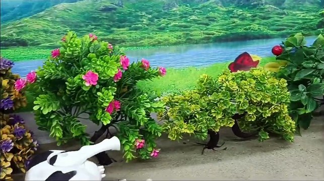 WADIDAU PROSES POTONG SAPI ‼️ SIMULASI POTONG SAPI l MANUSIA KARDUS