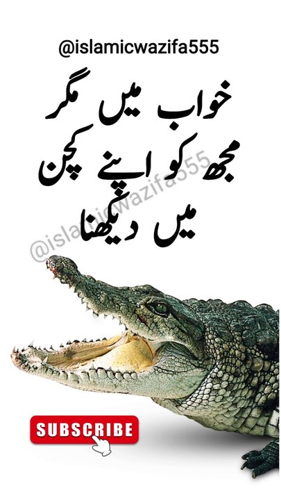 Khwab Mein Kitchen Mein Magarmachh Dekhna | Islami Khwab Ki Tabeer | Kya Matlab Hai?