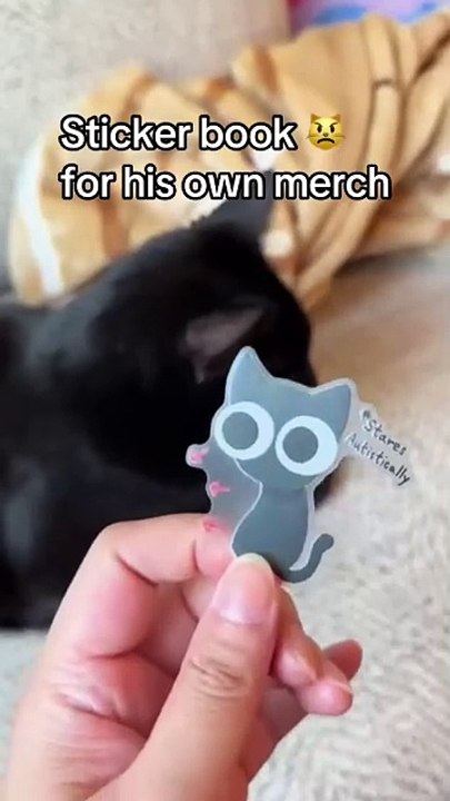Black Cat