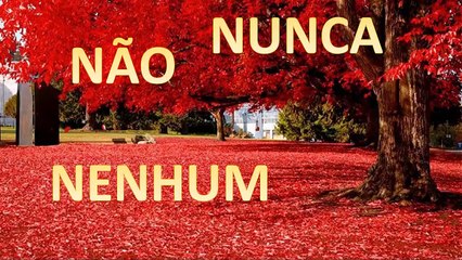"Tem algo que é mais importante que a vida, a liberdade", diz bolsonaro - HD | VL - 23/05/20 | ANCAPSU