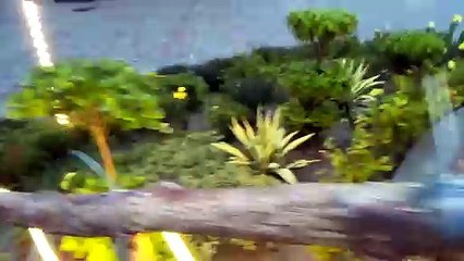 A Beautifull Form House in Lahore, Pakistan