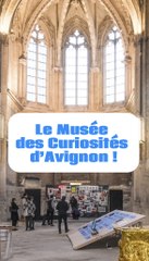 Le musée des curiosités d’Avignon !