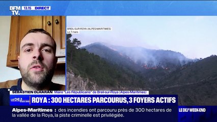 Incendies: le maire de Breil-sur-Roya a "un fort sentiment qu'il y a un pyromane à l'œuvre dans le secteur"