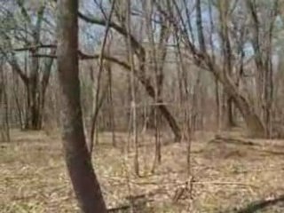 walking a lot on Lake Irene