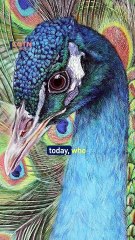 "Reviving Tradition: Modern Pith Painting in Guangzhou"