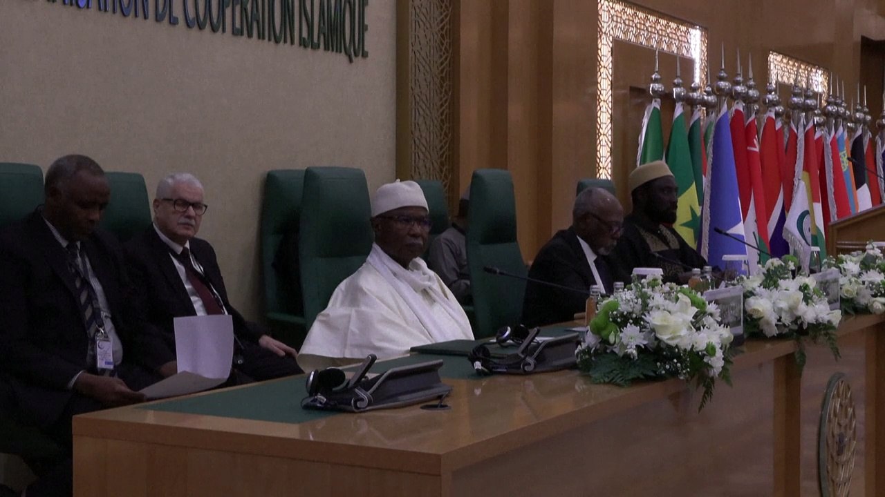 Muslimische Länder billigen ägyptischen Gazastreifenplan