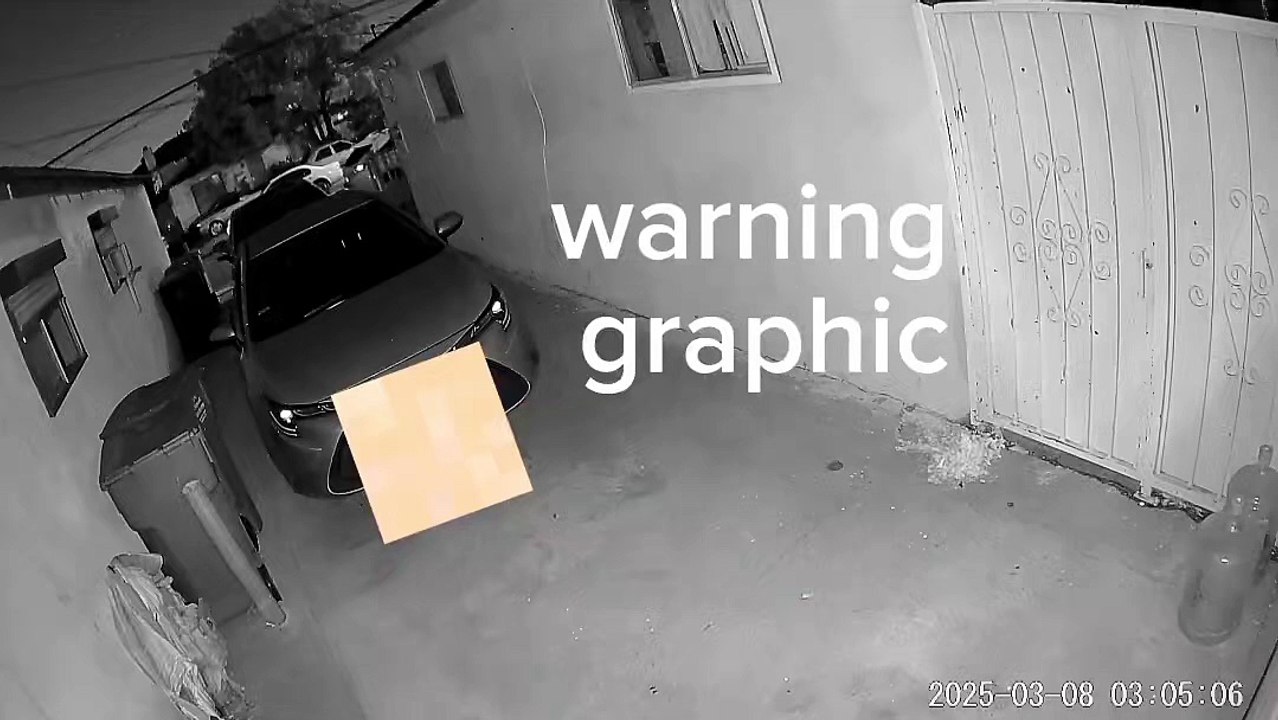 Guys shooting incidents happened on Hawthorne and 139 st at 3 am The car pass by with the gunner still unknown of anyone has a flock cam or a good security footage of the car details please report it to the police because safety is our concern