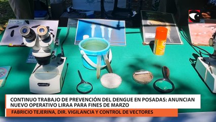 Continuo trabajo de prevención del dengue en Posadas anuncian nuevo Operativo Liraa para fines de marzo