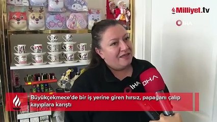 İstanbul'da ilginç anlar: Papağını çalıp, kayıplara karıştı