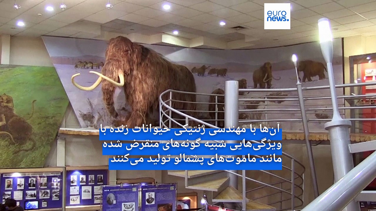 دانشمندان با مهندسی ژنتیکی، موش‌هایی با موهای ضخیم مانند ماموت‌های پشمالو تولید کردند