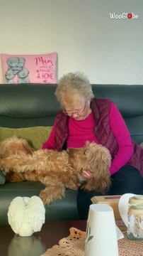 Adorable dog has a heartwarming sing-along with the loving grandma *Wholesome*