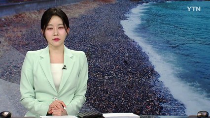 "한두 개쯤이야"...몽돌 반출에 남해 주민 '한숨' / YTN
