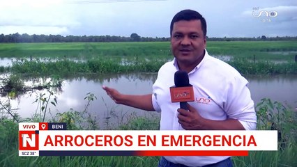 ARROCEROS EN EMERGENCIA