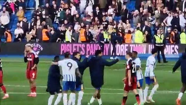 Watch as Brighton and Hove Albion celebrate last-gasp win over Fulham to extend superb run of form