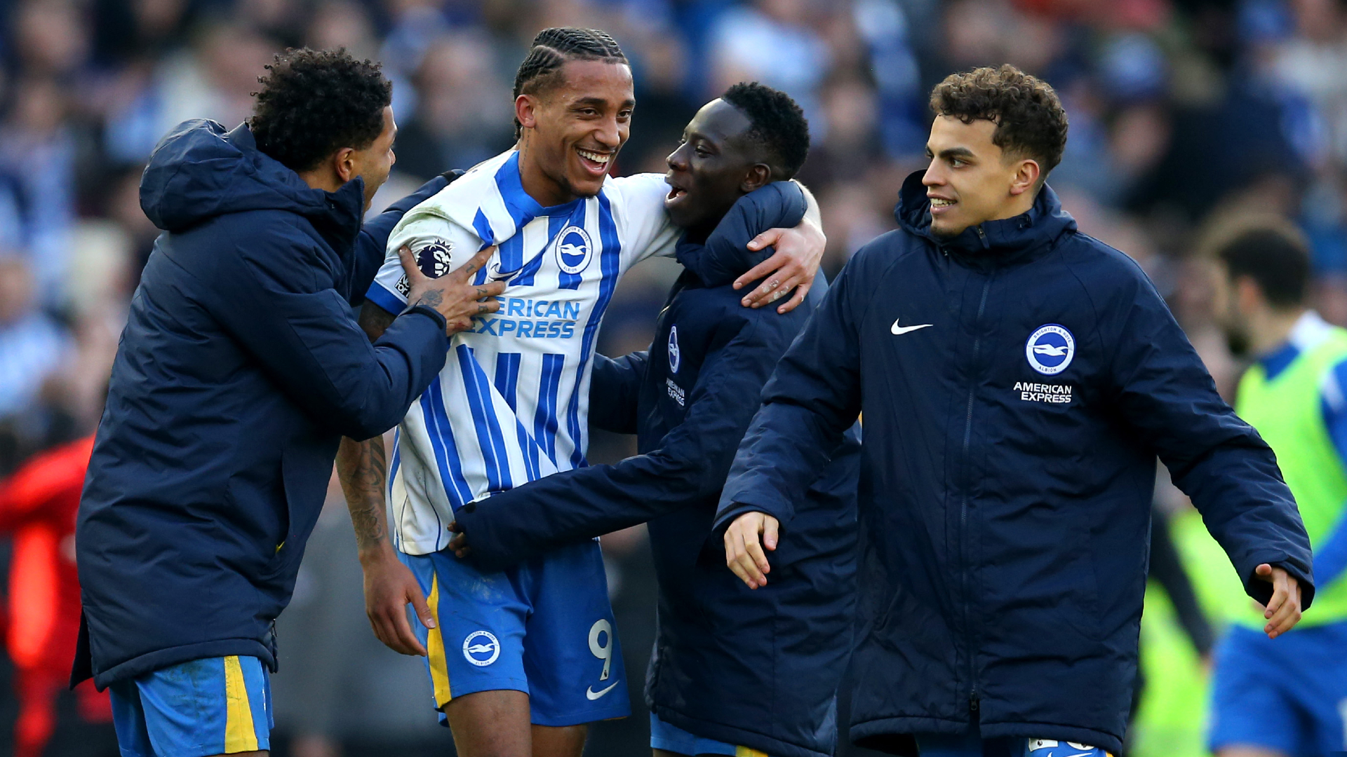 Brighton & Hove Albion v Fulham