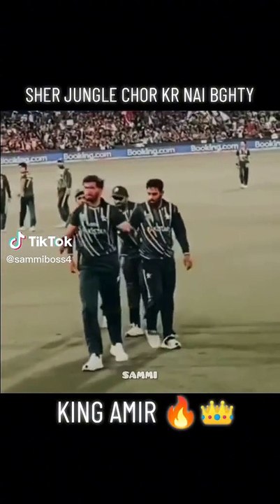 All videos