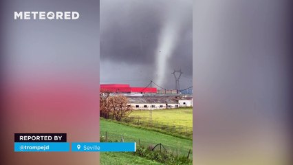 Impressive tornado in the province of Seville, Spain! The whirlwind was visible from several municipalities