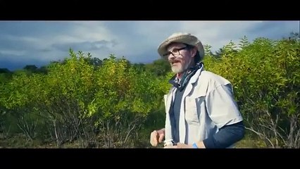 Deadly Waters  Bull Shark Full Sci-Fi Horror Movie  Free Movie HD