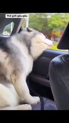 Sunday morning went to coffee with a friend