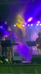 Orchestre Clin d'Oeil  Célébrons la Fête Nationale Française en Musique #music #musica #show (45)