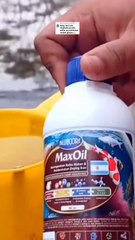 Cara meningkatkan protein pada pakan yang protein nya rendah, bagaimana❓