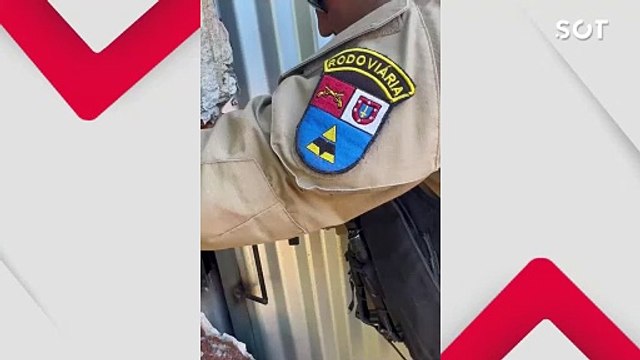 Ação da BPRv e cães resulta em apreensão milionária de cigarros contrabandeados em Jesuítas