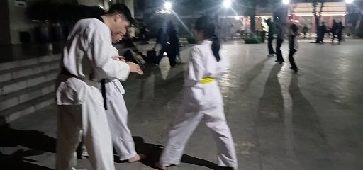 Taekwondo , tkd, tlu  20250303_192411