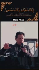 PTI Lover - Passionate Support for Imran Khan and PTI Movement