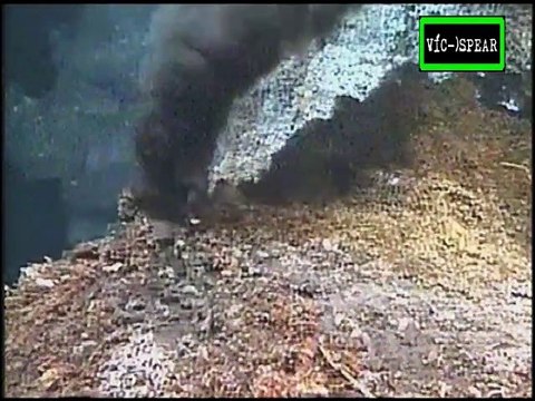 Nova: Los Misterios de los Volcanes Submarinos - Documental (1999) Español Latino