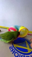 Masha Allah Cute Birds