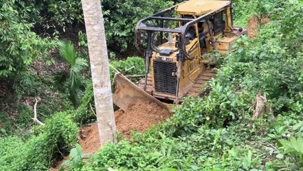 The Greatness of the D6R XL Bulldozer Forms a Core in Steep Oil Palm Plantations