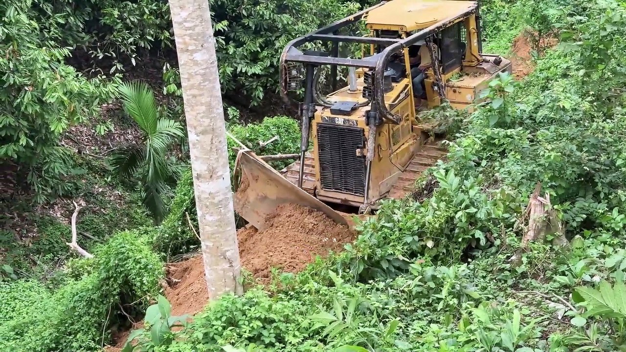 The Greatness of the D6R XL Bulldozer Forms a Core in Steep Oil Palm Plantations