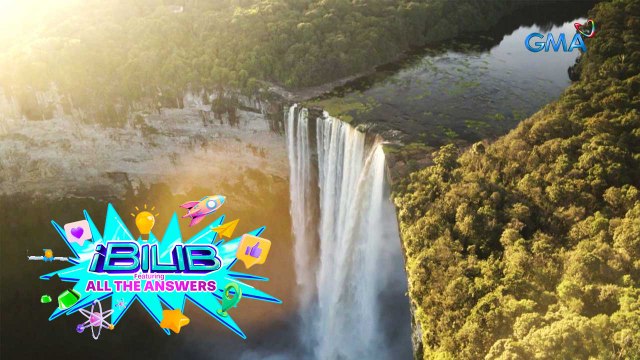 iBilib: Amazon rainforest, the lungs of the Earth!