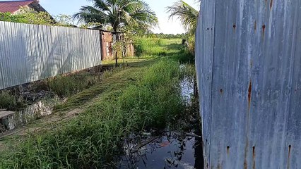 Rawa Merauke Darurat Sampah